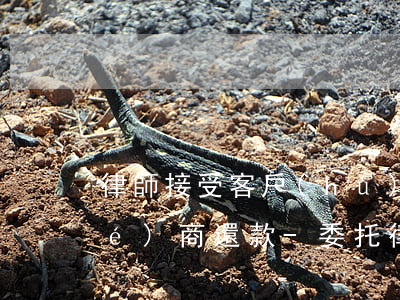 律師接受客戶(hù)委托同銀行協(xié)商還款-委托律師與銀行協(xié)商還款
