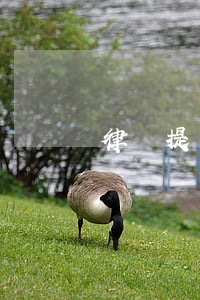律師提交訴狀多久立案