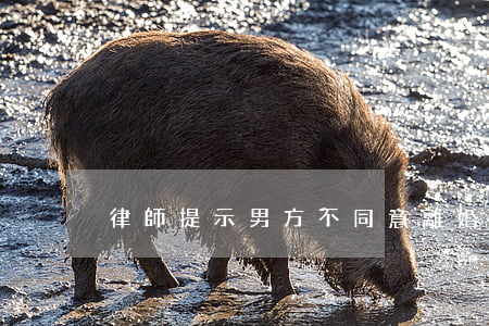 律師提示男方不同意離婚怎么辦