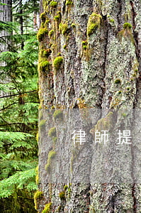 律師提高收費(fèi)難的四大原因