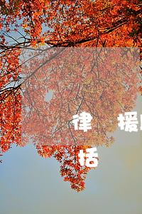 律師援助是一種什么制度(法律援助的對象包括)