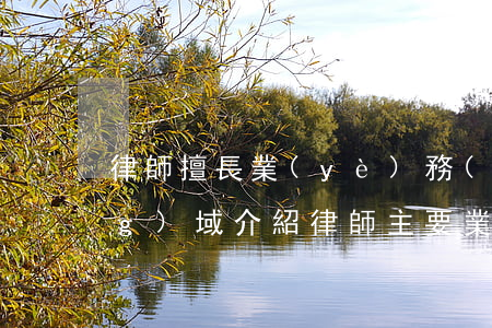 律師擅長業(yè)務(wù)領(lǐng)域介紹(律師主要業(yè)務(wù)領(lǐng)域)
