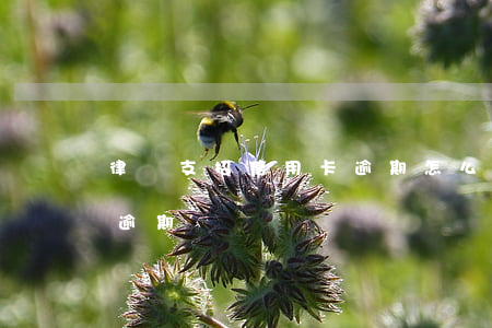 律師支招信用卡逾期怎么辦（律師支招信用卡逾期）