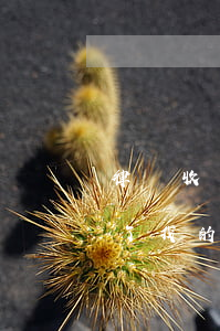 律師收了錢(qián)不去怎么辦(律師收了我的錢(qián)沒(méi)辦事怎么辦)