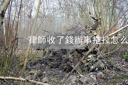 律師收了錢辦事拖拉怎么辦