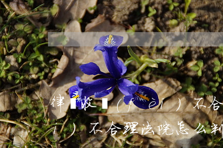 律師收費(fèi)不合理(律師收費(fèi)不合理法院怎么判)