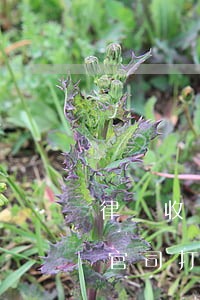 律師收費(fèi)了打不贏官司怎么辦(打官司打贏打不贏律師費(fèi).是一樣的嗎?)