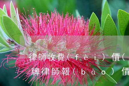 律師收費(fèi)價(jià)目表公示牌(律師報(bào)價(jià)單)