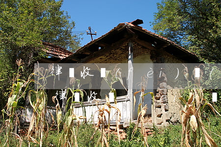 律師收費(fèi)價(jià)目表江西(律師收費(fèi)價(jià)格)