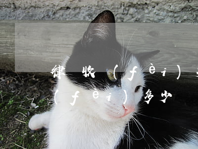 律師收費(fèi)多少(一般車禍律師收費(fèi)多少)