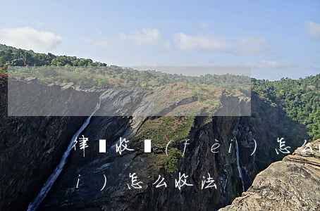 律師收費(fèi)怎么收(律師收費(fèi)怎么收法)