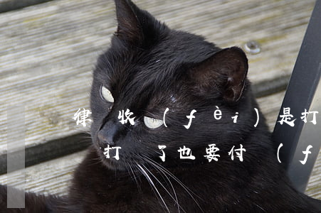 律師收費(fèi)是打贏了給還是什么(律師打輸了也要付費(fèi)嗎)