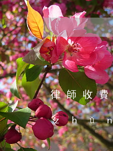 律師收費(fèi)有標(biāo)準(zhǔn)嗎(律師一般收費(fèi)標(biāo)準(zhǔn)是多少)