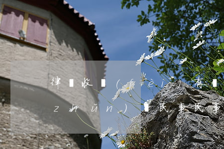 律師收費(fèi)有標(biāo)準(zhǔn)嗎民事(民事律師費(fèi)用一般怎么收的)