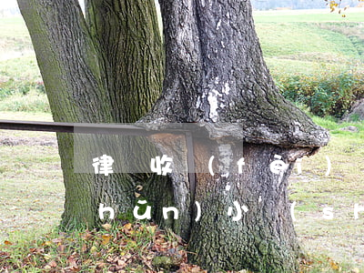 律師收費(fèi)標(biāo)準(zhǔn)小時(shí)(律師一個(gè)小時(shí)收費(fèi)多少)