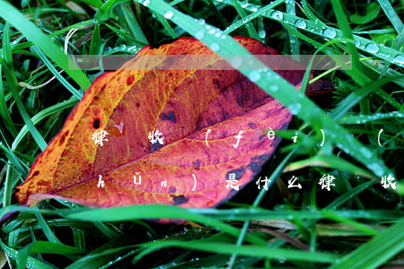 律師收費(fèi)標(biāo)準(zhǔn)是什么(律師收費(fèi)標(biāo)準(zhǔn)是什么)