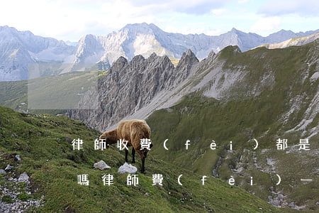 律師收費(fèi)都是打給個(gè)人嗎(律師費(fèi)一般由誰來付)
