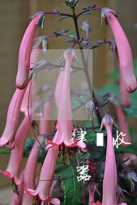律師收費標準速算表(全國律師收費標準計算器)