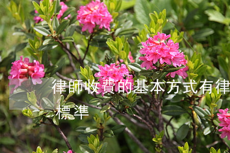 律師收費的基本方式有(律師收費辦法及收費標準)