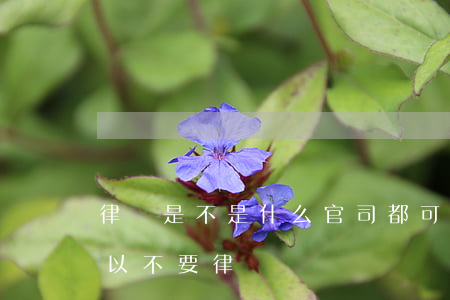 律師是不是什么官司都可以打(打官司可不可以不要律師)