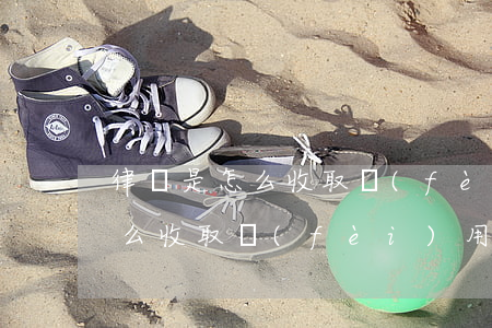 律師是怎么收取費(fèi)用的(律師是怎么收取費(fèi)用的)