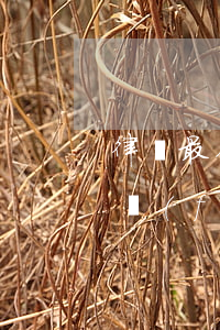 律師最低收費(fèi)是多少(律師最高收費(fèi)是多少)