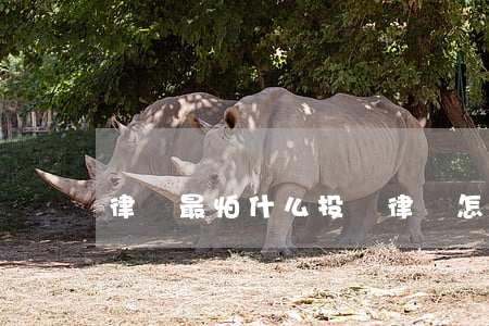 律師最怕什么投訴(律師怎么投訴)