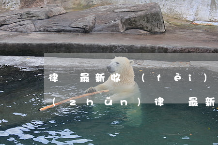 律師最新收費(fèi)標(biāo)準(zhǔn)(律師最新收費(fèi)標(biāo)準(zhǔn))