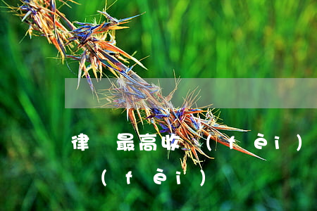 律師最高收費(fèi)是多少(律師一般收費(fèi))