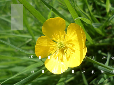 律師會(huì)加你微信說(shuō)起訴(有律師加我微信)