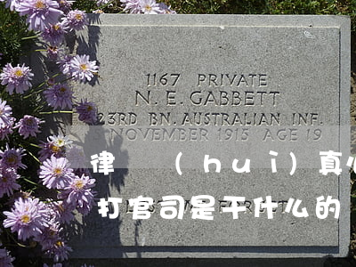 律師會(huì)真心為自己打官司嗎(律師打官司是干什么的)