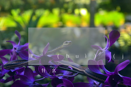 律師會(huì)見(jiàn)家人一般帶什么話