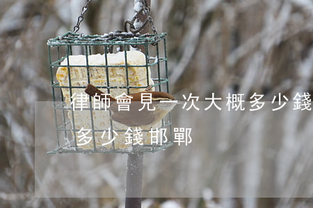 律師會見一次大概多少錢(律師會見一次大概多少錢邯鄲)