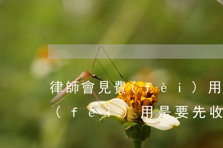 律師會見費(fèi)用按次收取嗎(律師費(fèi)用是要先收取嗎)