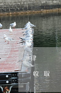 律師會見費用按次收取嗎(律師會見費用按次收取嗎)