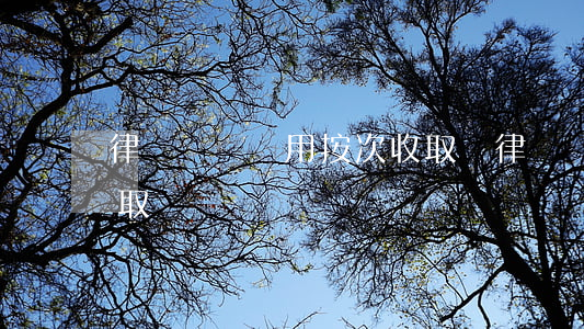 律師會見費用按次收取嗎(律師費用是要先收取嗎)