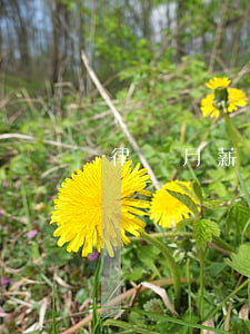 律師月薪多少錢(工薪律師月薪多少)