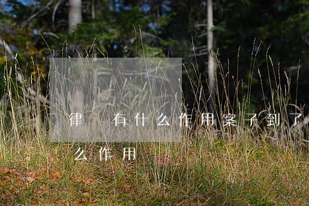 律師有什么作用(案子到了檢察院請律師有什么作用)