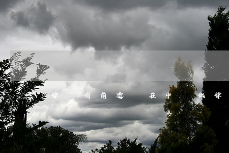 律師有前途嗎(在中國做律師有前途嗎)