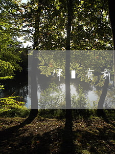 律師有前途嗎(律師前景)