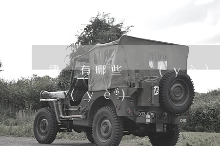 律師有哪些專業(yè)(律師分為哪幾種專業(yè))