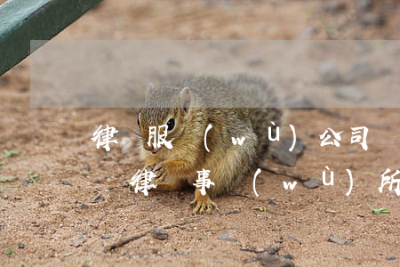 律師服務(wù)公司經(jīng)營范圍(律師事務(wù)所經(jīng)營范圍內(nèi)容)