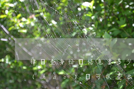 律師查身份證信息要多少錢(律師憑身份證號(hào)碼可以查出哪些信息)