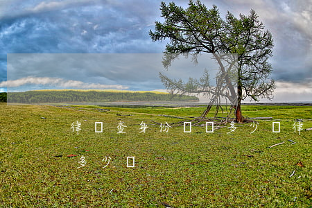 律師查身份證號多少錢(律師查身份證信息要多少錢) 律師查身份證號多少錢(律師查身份證信息要多少錢)