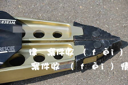 律師案件收費(fèi)情況表怎么填(律師案件收費(fèi)情況表怎么填)