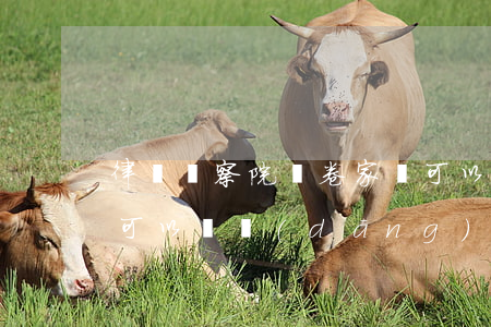 律師檢察院閱卷家屬可以看嗎(檢察院閱卷后可以給當(dāng)事人看嗎)