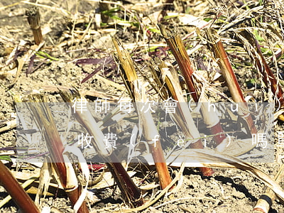 律師每次會(huì)見(jiàn)都要收費(fèi)嗎(單次會(huì)見(jiàn)的律師費(fèi)多少)