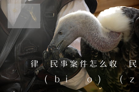 律師民事案件怎么收費(民事案件律師費收費標(biāo)準(zhǔn))