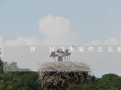 律師民商事案件怎么被抓(律師民事糾紛)