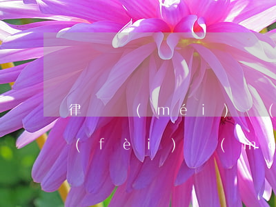 律師沒(méi)開(kāi)庭怎么收費(fèi)(沒(méi)有開(kāi)庭之前律師費(fèi)可以要回來(lái)嗎)
